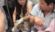 郑州爆料阿姨视频大全,街头巷尾的温馨瞬间